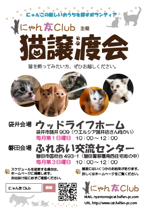 猫譲渡会ポスター