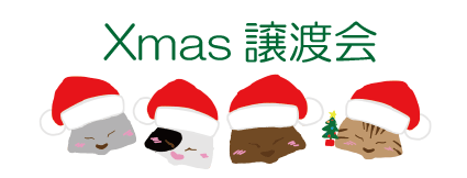 クリスマス譲渡会