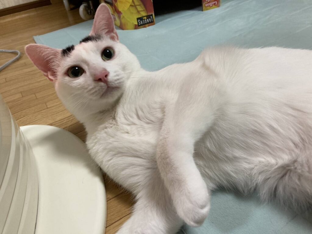 わくわく