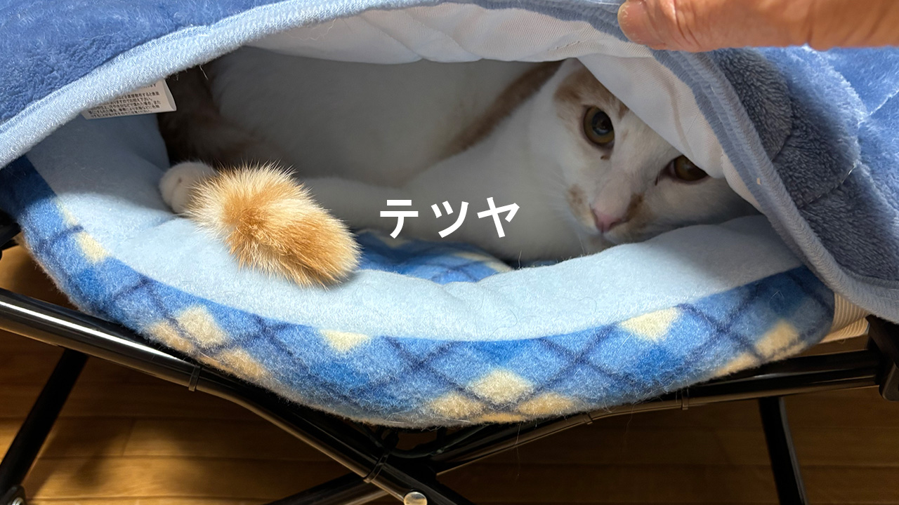 20260510テツヤi