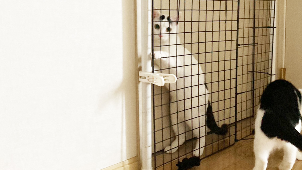 HOMEアイキャッチ01わくわく