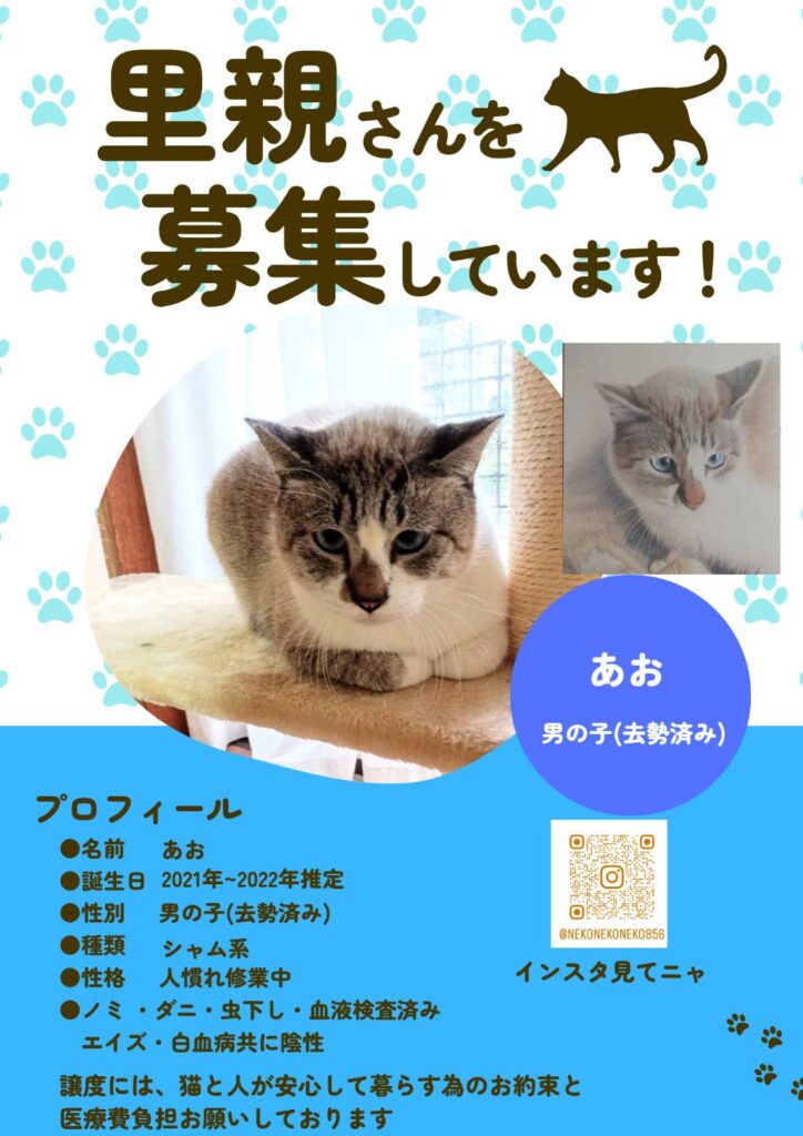 あお君紹介
