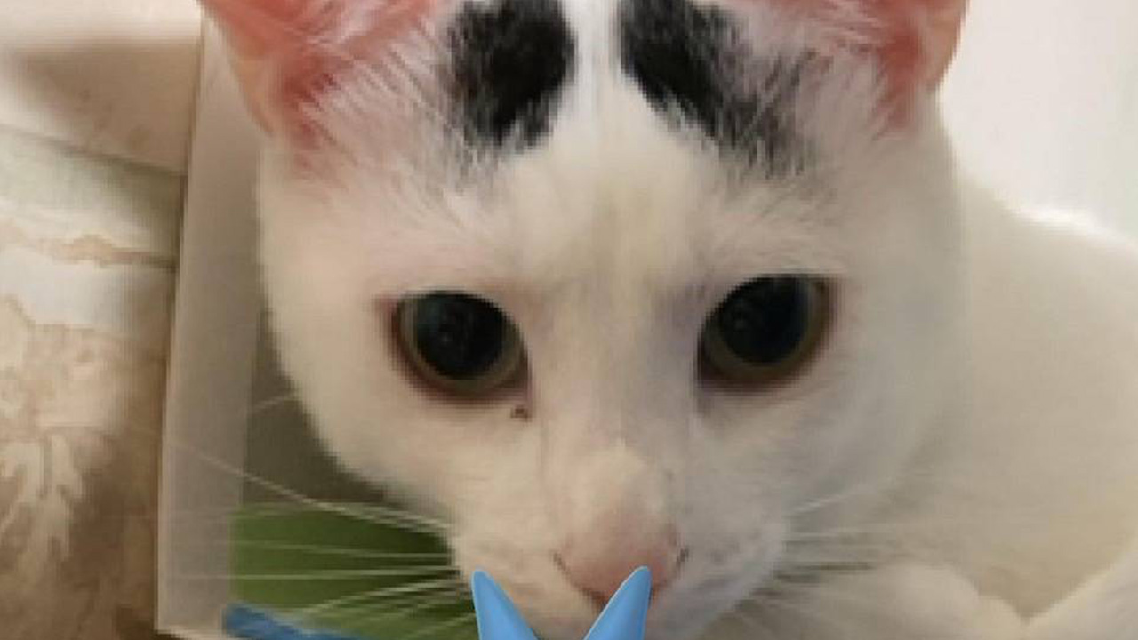 わくわく