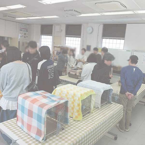 譲渡会の様子