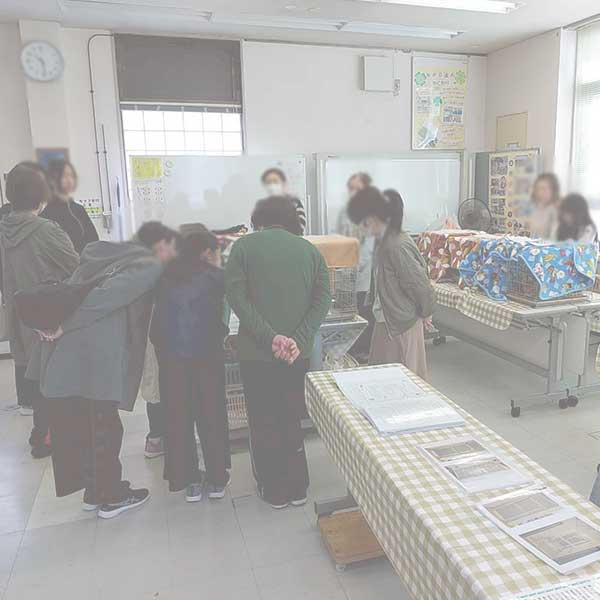 譲渡会の様子