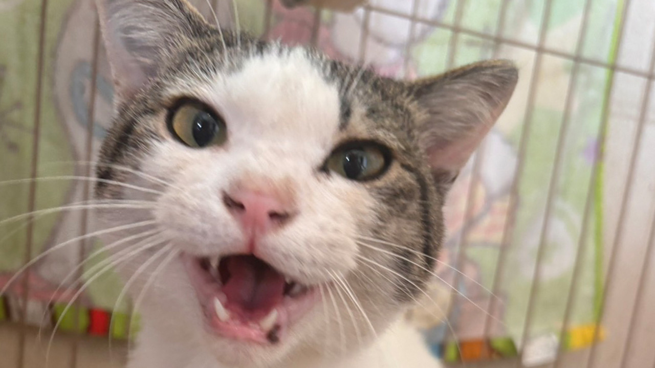 草野アポロアイキャッチ