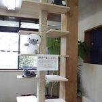 ウッドライフホーム施工のキャットタワー