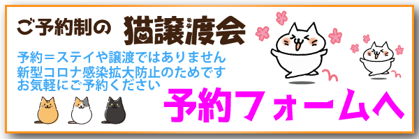 ご予約制の譲渡会予約フォームへ