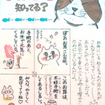 さくらねこって知ってる?