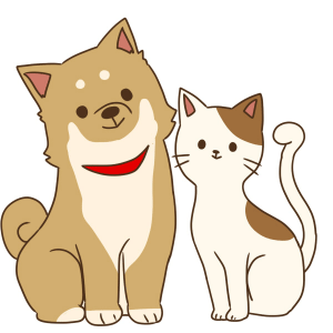 犬と猫