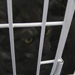 ジト目王子のおーちゃん