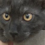 ジト目のおーちゃん