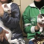 ななちゃん&すーちゃんステイ決定