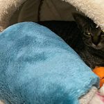 くーちゃんステイ05