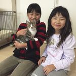 正式譲渡のうらちゃん