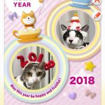 みやびとふうがの年賀状