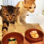 クリスマスケーキを食べないうめとごま