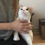 らーちゃんステイ開始