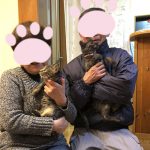 ふじとジョナステイ