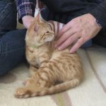 バーグ正式譲渡1