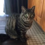 ノアちゃんステイ