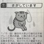 ソラちゃん　探し猫