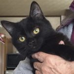 イケメンのアラシくん