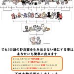 HUG不妊去勢推奨01A4