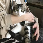 正式譲渡となった_ちねんくん