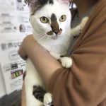 ゆうくんステイ