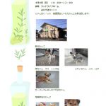 いわたわんこさんHP