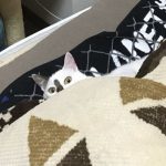 ベッドで寝るゆうくん