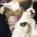 凜太郎とてんちゃん02