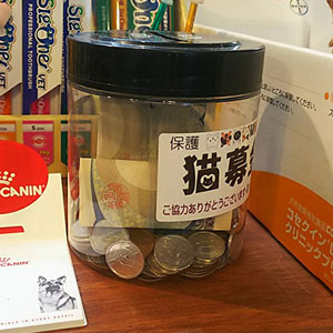 ウッドベルさんの募金箱