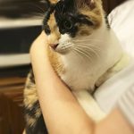 チャキちゃんステイ09