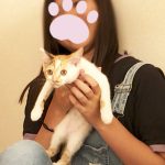 ステイ決定のあかり02