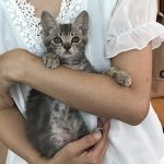 ちーちゃんステイ02