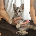 すっかりなじんたちーちゃん