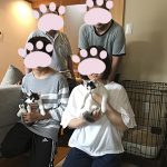 チョビ太マーガレットステイ08