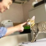 ステイが決まったきねじちゃん