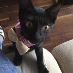 ステイ中のちびくろちゃん02