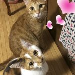 茶太郎とあかり20181101