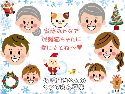 家族みんなで保護猫に愛に来てねクリスマス01