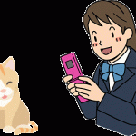 猫を写真に撮る