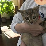チビちゃんステイ決定
