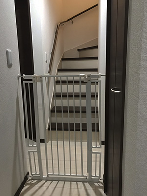 らんちゃん正式譲渡10脱走防止