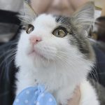 りつくん0113002