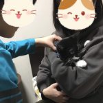 こだまステイ中02