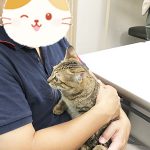 ステイ決定のショウ20190825