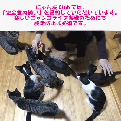 脱走防止スライド05